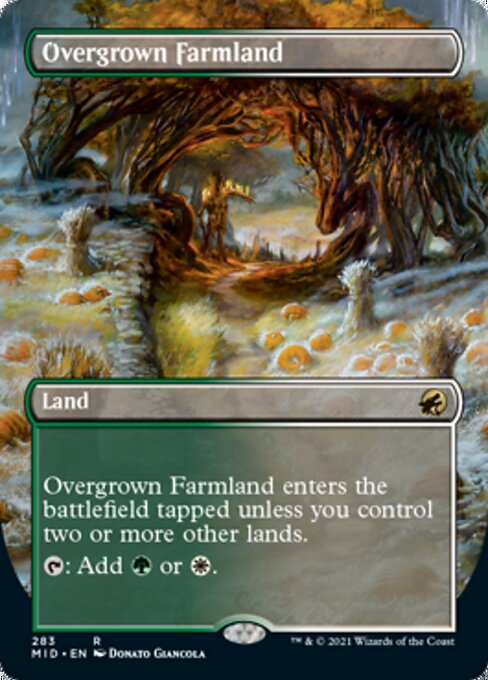 283BORDERLESS Overgrown Farmland 283 - Midnight Hunt