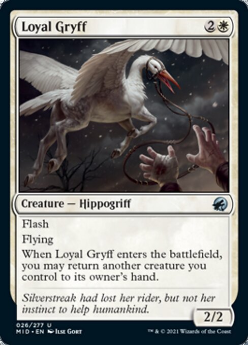 26Loyal Gryff 26/277 Uncommon - Midnight Hunt