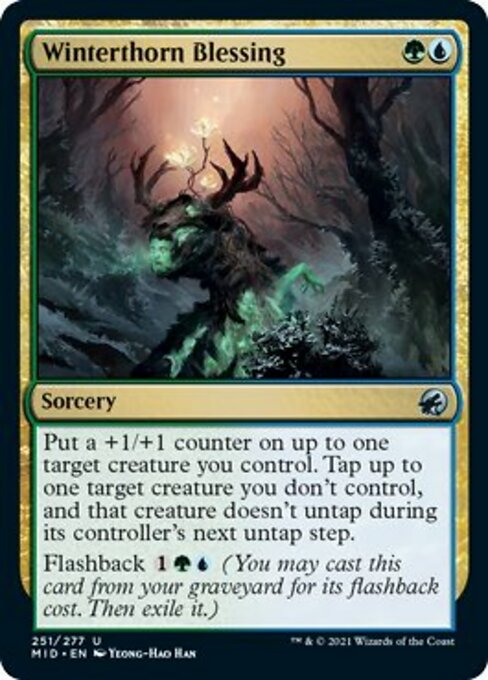 251Winterthorn Blessing 251/277 Uncommon - Midnight Hunt